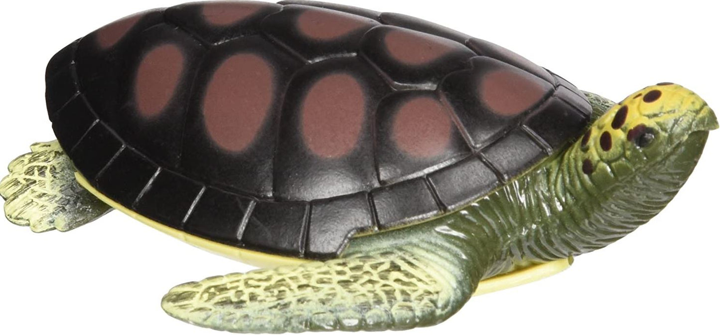 Turtle Squishimal Stretch