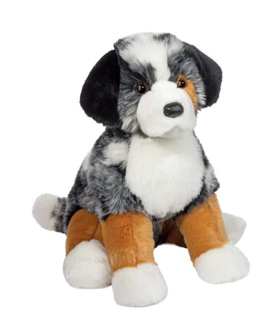 Aspen Australian Shepard
