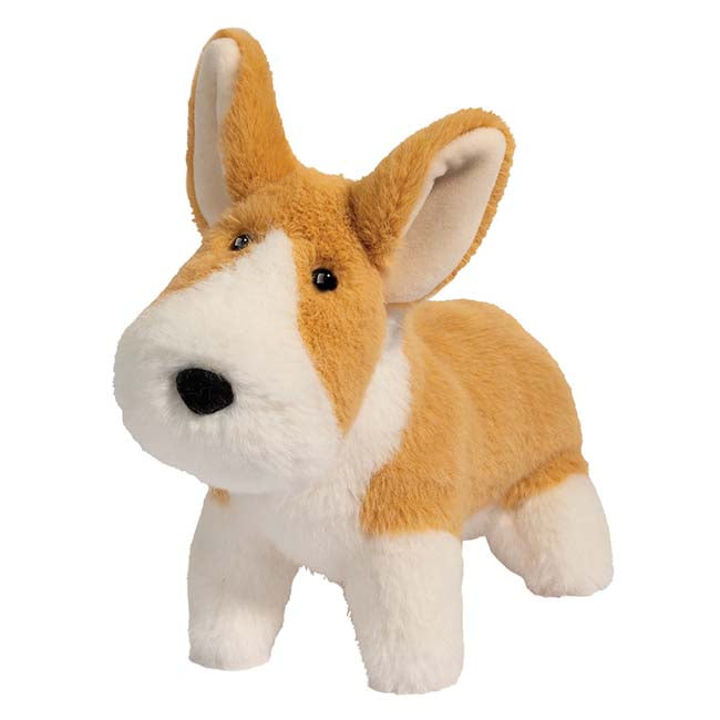 Carl Corgi Muzzle-1