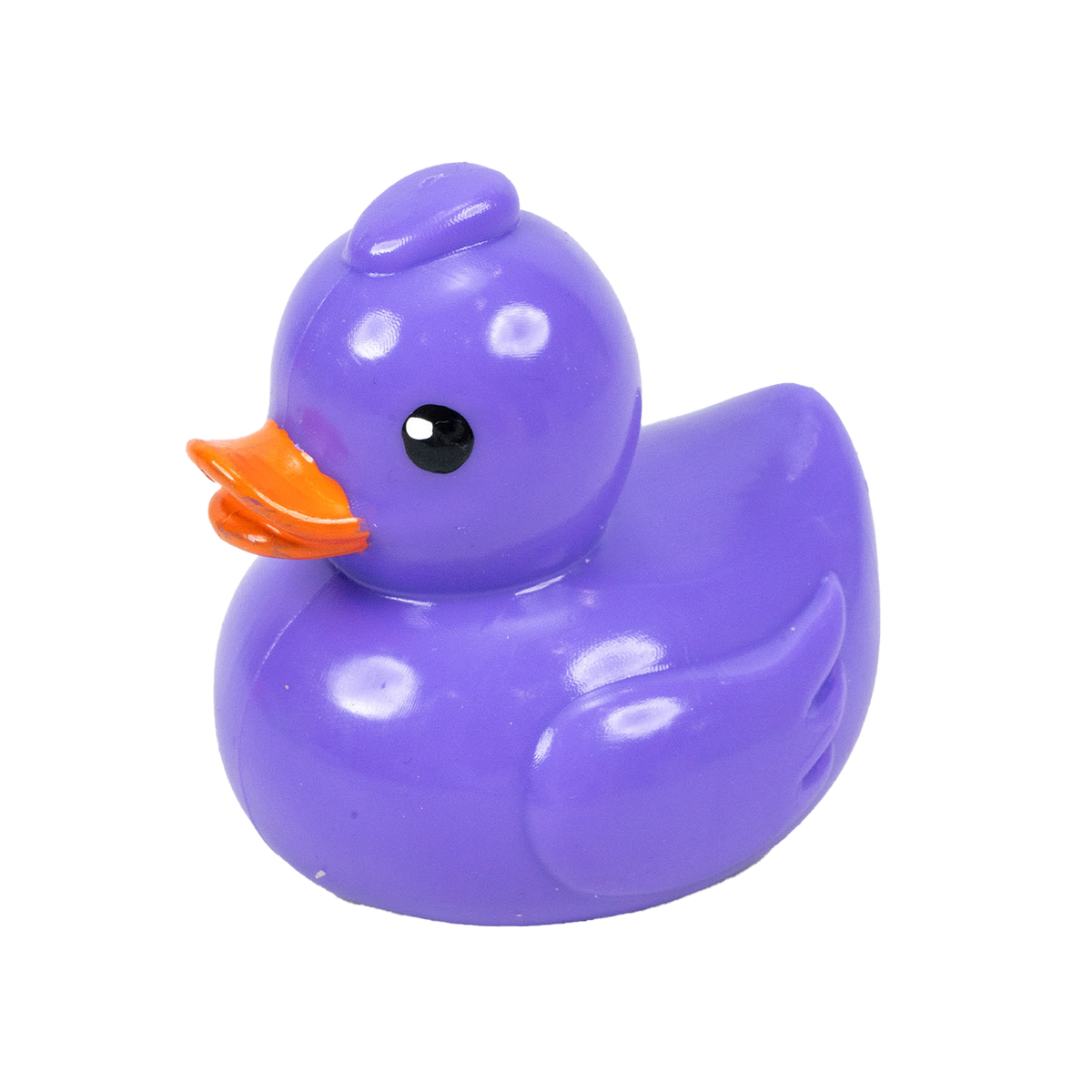 Squishi Duck