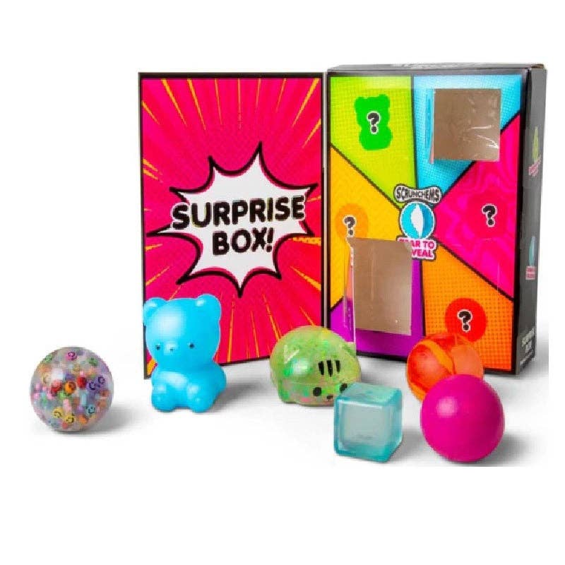 Scrunchems Surprise Box