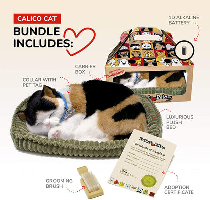 Pp Calico