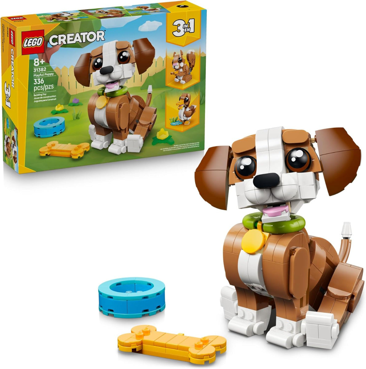 Playful Puppy Dog