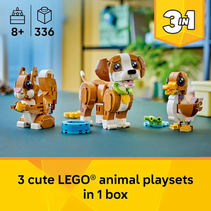 Playful Puppy Dog