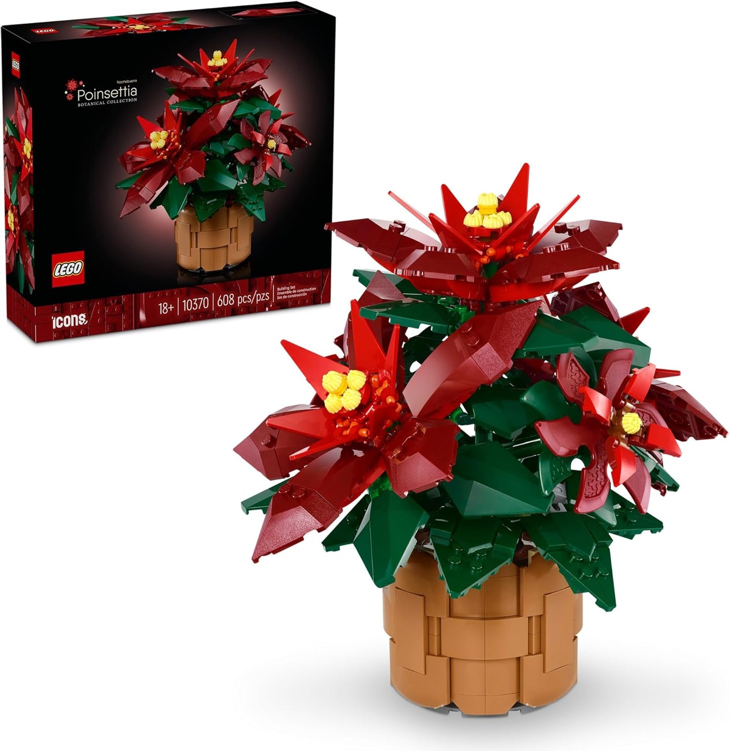 * Poinsettia