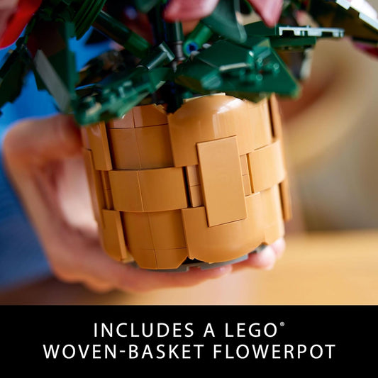 * Poinsettia