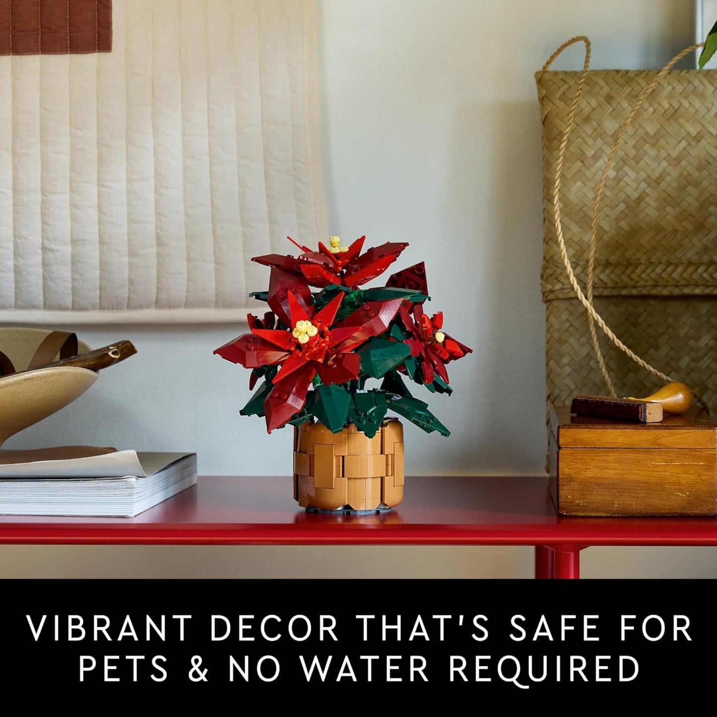 * Poinsettia
