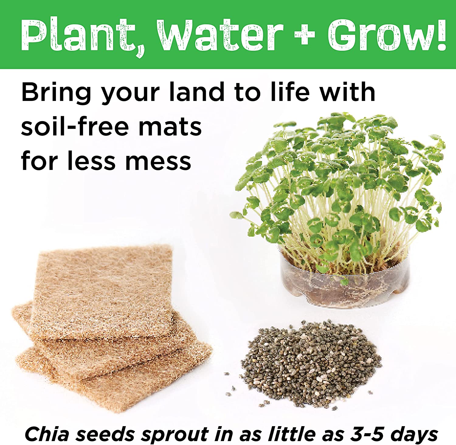 *build & Grow Magicl Land