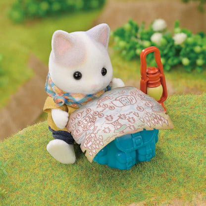 Exciting Exploration