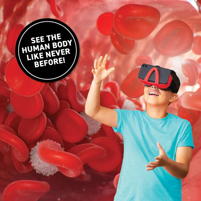 Virtual Reality Human Bdy