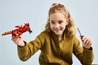 Legogö¼-½ Harry Potter Fawkes Dumbledore+ô+ç+ûs Phoenix