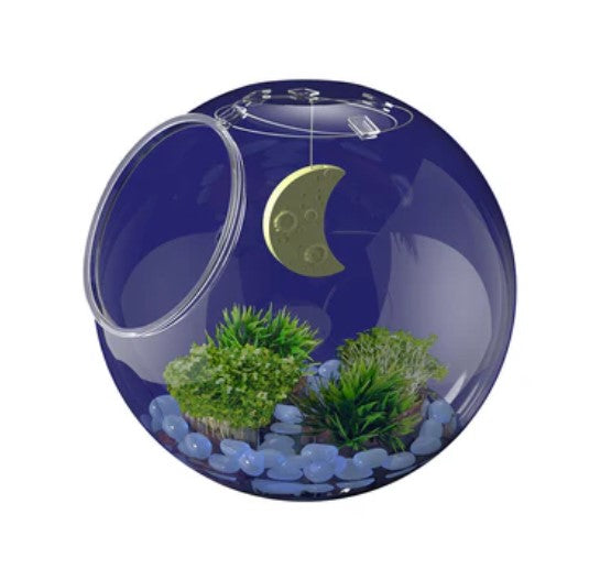 * Ww Light-Up Terrarium