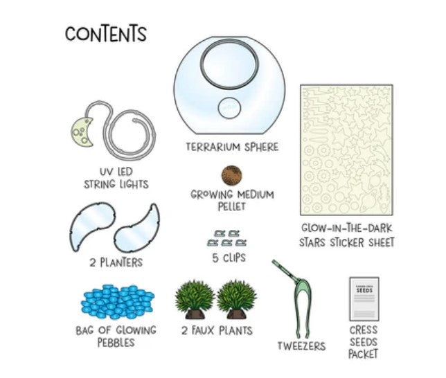 * Ww Light-Up Terrarium