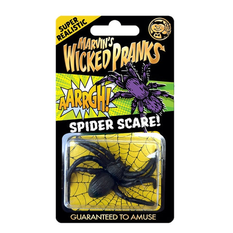 Spider Scare