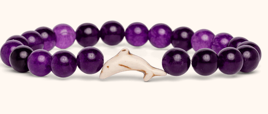 Echo Purple Dolphin